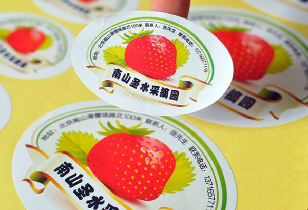 In Decal nhựa