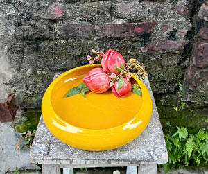 Bát phong thủy thả sen