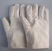 Găng tay bạt trắng