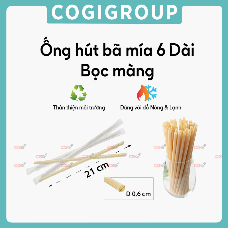 Ống hút bã mía 6 dài bọc màng