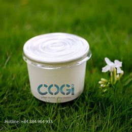 Tô giấy trắng 12oz 360ml