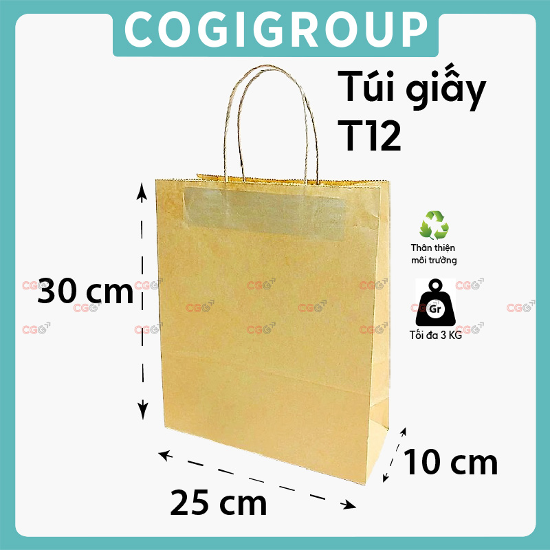 Túi giấy T12