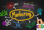 Dịch thuật tài liệu marketing