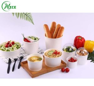 Tô giấy Pla