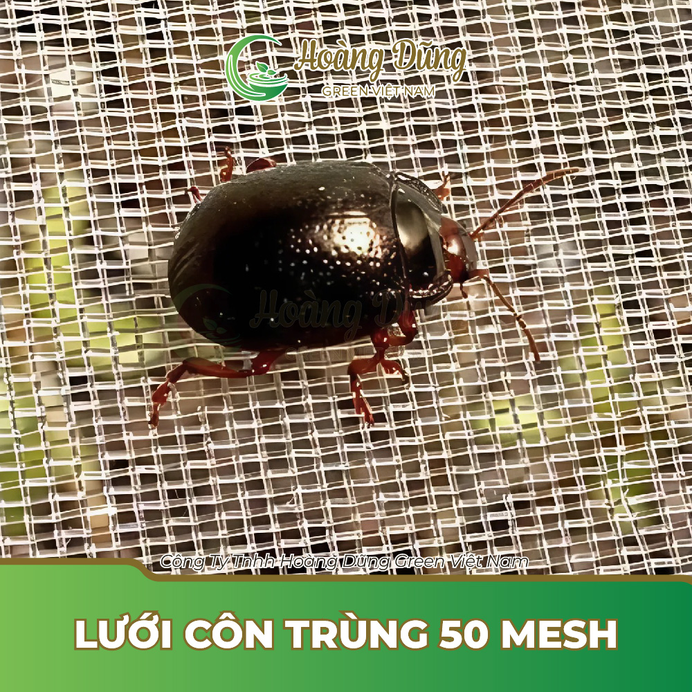 Lưới côn trùng 50 mesh
