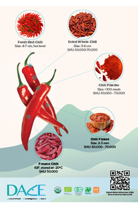 Dace Chili Brochure