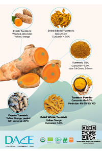 Dace Turmeric Brochure