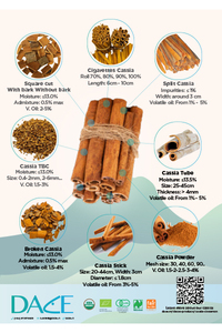 Dace Cassia Brochure