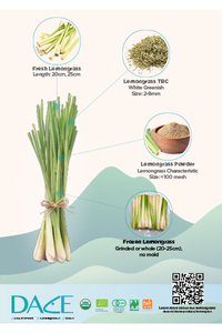 Dace Lemongrass Brochure