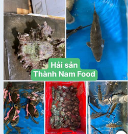 Hải sản Thành Nam