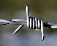 Dây thép gai