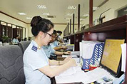 Dịch vụ hải quan