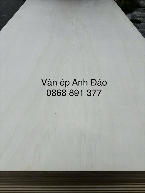 Ván ép mặt Poplar