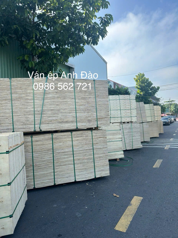 Ván ép Anh Đào