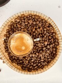 Robusta Honey