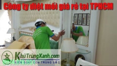 Dịch vụ diệt mối