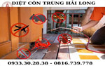 Dịch vụ diệt ruồi tại nhà