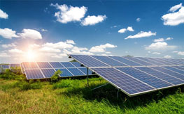 Ứng dụng điện mặt trời trong nông nghiệp