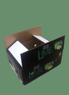 Hộp carton gấp