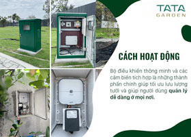 Giải pháp tưới cây thông minh