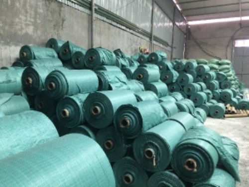 Bao tải dứa xanh