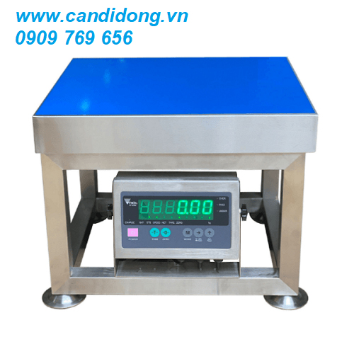 Cân ghế thủy sản DI28SS