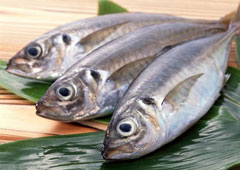Cá biển đông lạnh