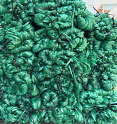 Dây nilon Bẹ màu xanh