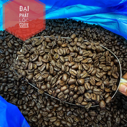 Cafe Arabica cầu đất