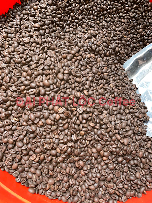 Cà phê hạt nguyên chất