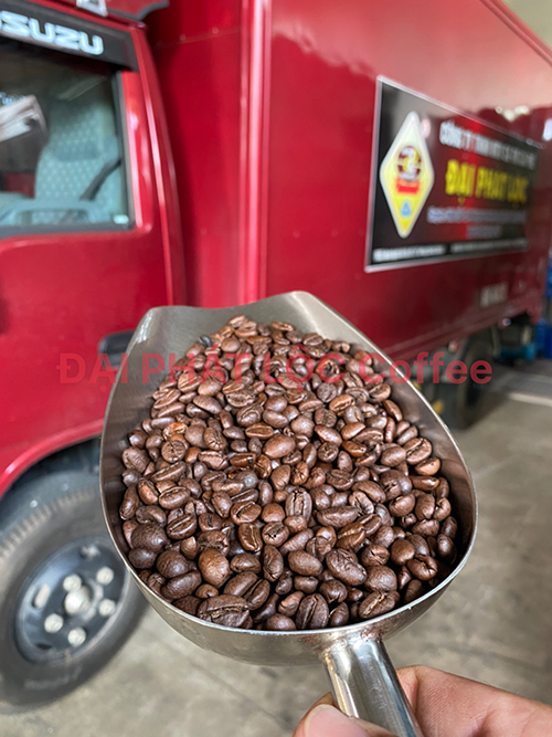 Cà phê hạt nguyên chất