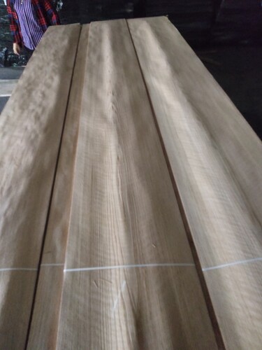 Ván gỗ Veneer