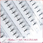 Lông mi Volume