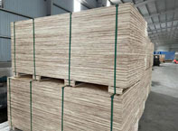 Ván ép Plywood