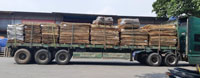 Gỗ ghép ván ghép