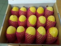 Bọc xốp trái cây