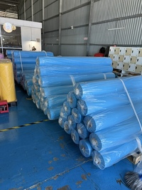 Màng nhựa CPE