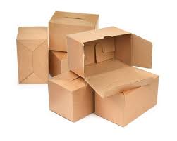 Bao bì carton