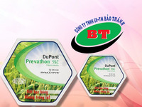 In kĩ thuật số trên nhựa pp - decal
