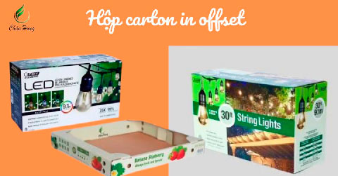 Hộp carton in offset