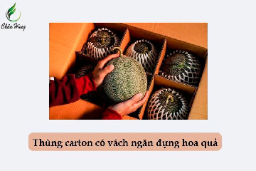Thùng carton vách ngăn đựng hoa quả