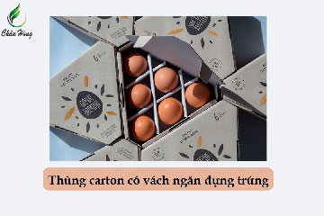 Thùng carton RSC vách ngăn đựng trứng
