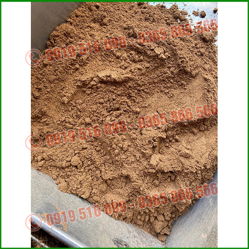 Bột vỏ lụa điều