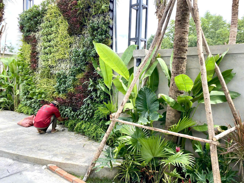 Bảo dưỡng cảnh quan