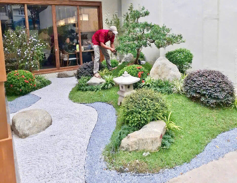 Cắt tỉa cây xanh