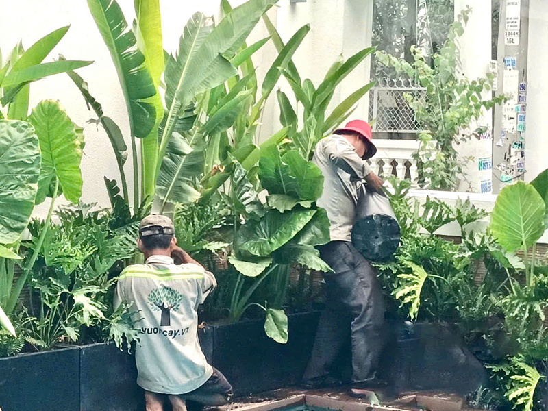 Bảo dưỡng cảnh quan