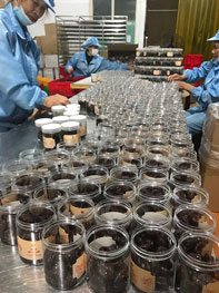 Hình ảnh xưởng sản xuất trái cây sấy