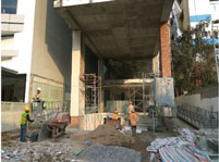 Phòng chống mối cho công trình