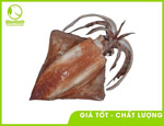 Mực lá đại dương