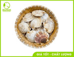 Sò điệp Nhật tươi